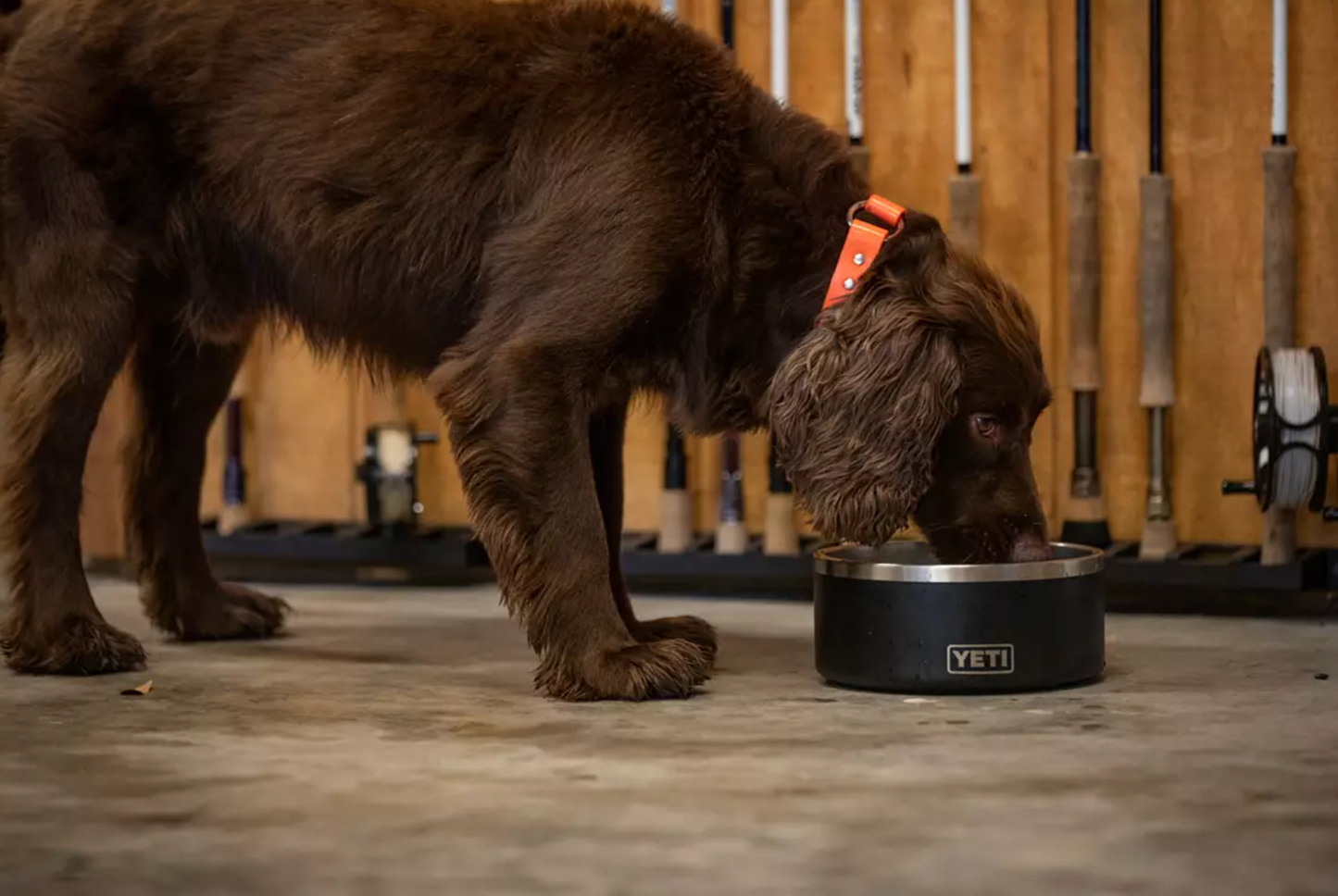 Yeti Black Boomer 8 Dog Bowl